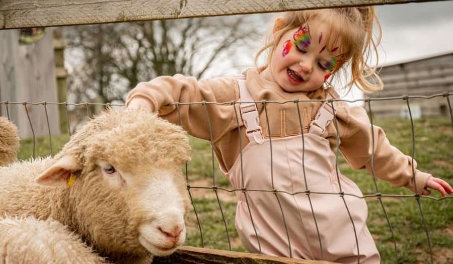 Burford on the Hill - Wonderful Winchcombe Lambing and Easter Fun at Cotswold Farm Park